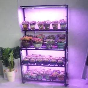 식물 선반 북유럽 거실 정리대 베란다 다육이 스탠드 빈티지 바닥 철제 화분 랙 다층