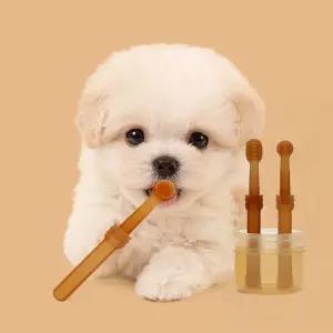 고품질 디어펫 반려동물 칫솔+혀클리너 세트 휴대용케이스 (WFKDZE7)