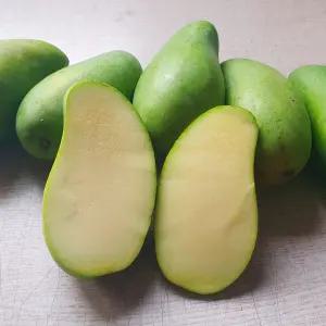 베트남 그린망고 다일론 소과/개당 230g 내외/3kg/10~14과