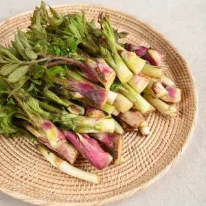 국내산 땅두릅 900g 산두릅 산나물 봄나물 제철나물