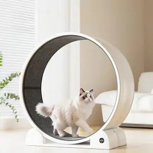 캣휠무소음 저소음 대형 켓휠 고양이쳇바퀴 강아지런닝머신