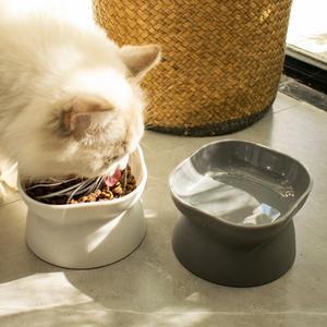 고양이 높은 발 도자기 그릇 소형 개 먹이 공급기 애완 동물 식수 접시 강아지