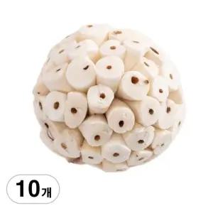 솔라볼 6cm 10개 앵무새 장난감 놀이 용품 BAA070404 솔라볼 솔라볼세트