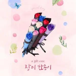 MENPPETN55다발꽃다발 송이10송이