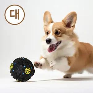 [하프클럽/올펫몰]크레이지볼(대) 장난감 공 노즈워크 앵무새 강아지