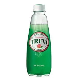 [하프클럽/기타]트레비 자몽 300ml 20패트