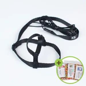 [하프클럽/올펫몰]어드벤쳐 앵무새 하네스 XS 코뉴어 퀘이커 중형앵무용