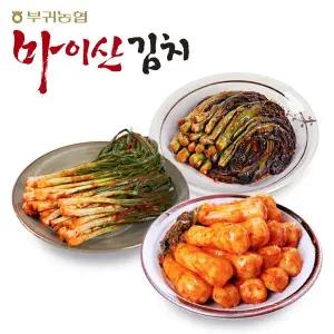 [마이산김치][한국농협김치] 전북 대표김치 마이산김치 3종10호(갓김치1kg+파김치1kg+총각김치1kg)