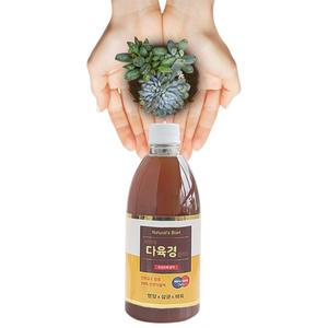 프리미엄 영양제 다육경 500ml 식물액 2배 농축 영양 살균 살충