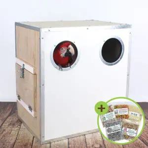 [하프클럽/올펫몰]대형 마카우 알통 앵무새 홍금강 청금강 번식용 A48