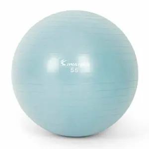 더스티 55cm 마사지볼 짐볼 다이어트짐볼 블루