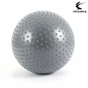 실버 다이어트 마사지 짐볼 65cm 짐볼