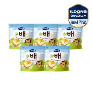아이얌 동결건조 과일칩 순배 5개