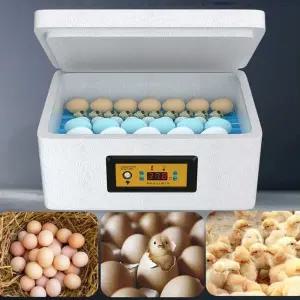 병아리 조류 대용량 얄리 번식 급수 자동 계란부화기 재료