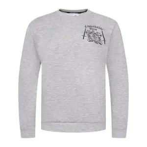 본사) 남성 캡슐라인 맨투맨 티셔츠_BGDMTL302GY_