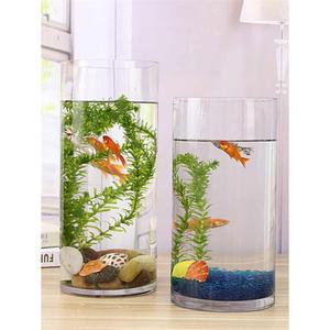 원형 원통 투명 두껍고 수족관 어항 수조 큰 유리 관상용