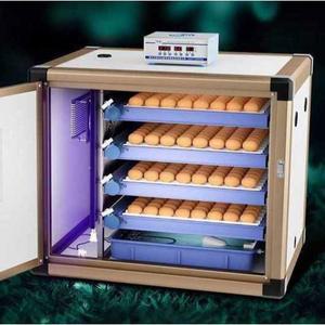 자동 계란부화기 온도조절 유정란 사이즈의 파충류 육추기 양계장 부화용 가능 부화기