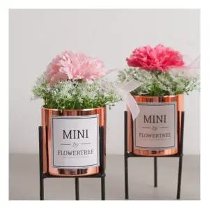 하프카네이션화분set 20cm 4컬러 조화 인테리어 어버이날 감사 선물