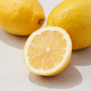 품질우수 팬시(정품) 레몬 100개입(중과/개당 100g내외)