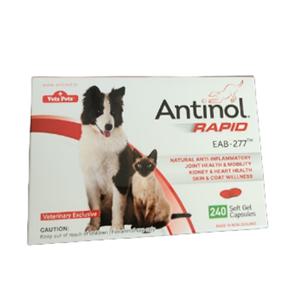 안티놀 래피드 240캡슐 강아지 고양이 쓸개골 영양제
