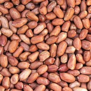 [롯데백화점]팜투맘 국내산 여주 생땅콩 500g