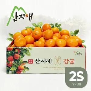 산지애 제주 감귤 5kg 2S