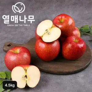 열매나무 거창 특등급 햇부사사과 4.5kg