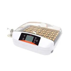 병아리 달걀 부화기 자동 조류 인큐베이터 육추기 메추라기 온도조절 계란 키우기