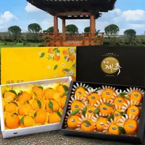 제주 한라봉 3kg 5kg 고당도 가정용 설 선물 세트 설날 명절