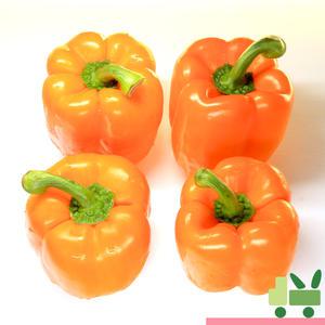 파프리카 5Kg (비품 - 주황)
