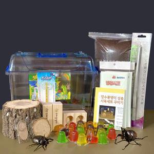 장수풍뎅이 성충 사육세트