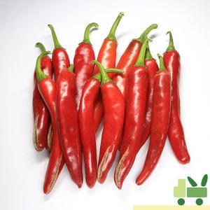홍고추 1Kg (상)
