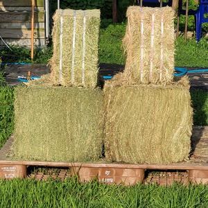 염소 말 알파카 기니피그 친칠라 건초 티모시 대용량 건초 18kg