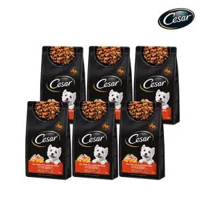 아트박스/시저 시저 가든야채와 칠면조살코기 1KG 6개