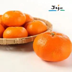 [귤로올레] 제주 햇 레드향 4kg