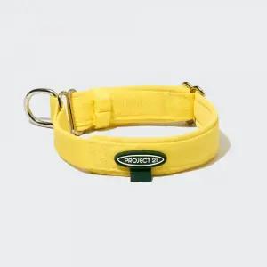 프로젝트21 강아지 목줄 산책 훈련용 소형견 대형견 마틴게일 목 쿠션 간편 착용 S