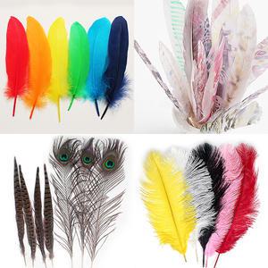 깃털 재료  천연 새깃털 꿩털 공작