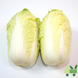 알배기배추 (쌈배추) 8Kg (특)