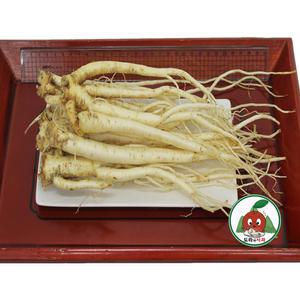 청정 영주소백산도라지 세척_약도라지1kg_상품