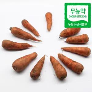 2025-2026시즌 제주 친환경인증 유기농 흙당근 햇당근 중 5kg