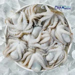 참바다 만능통쭈꾸미 600g(20미) 5팩+만능소스 50g 5팩