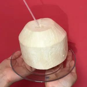 베트남 생 코코넛 9과 9kg 영코코넛 간편하게 빨아먹는 코코넛 워터 100% 코코넛과육 그린 코코넛