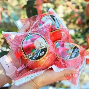 [오늘아침사과] 세척사과 5kg 22과