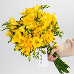 프리지아 프리지어 꽃다발 한단 생화택배 1단 50송이