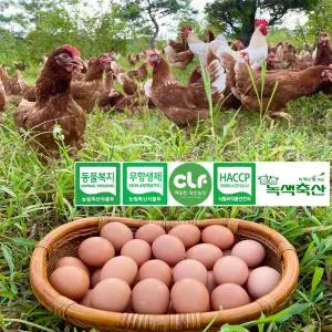섬진강 자미 유정란 난각번호 1번  20구 초란 왕란 동물복지 달걀 자연방사 무항생제 계란