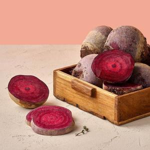 아삭아삭 수분가득 제주 햇 레드비트 2kg 외