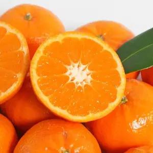 고당도 썬키스트 만다린 귤 2kg 4kg 미국산 감귤