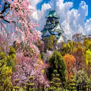 [출발확정][여행의신세계][하루는내맘대로] 오사카/교토/나라 3일 (1일자유/3대특식/USJ선택가능)