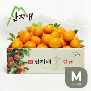 산지애 제주 감귤 5kg M