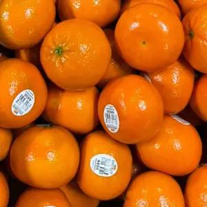 수분가득 고당도 만다린 귤 3kg 5kg 감귤 미국산